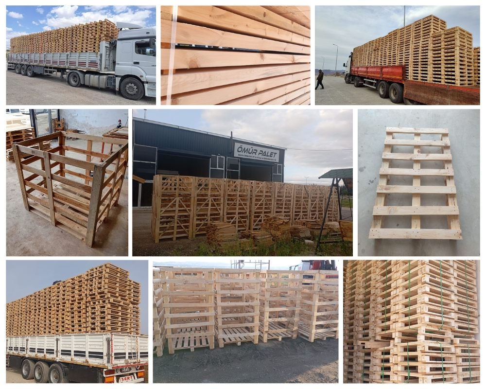 Leiden Houten Kisten, Europallets Groothandel Kopen